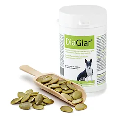 DOGOTEKA DiaGiar 60 tabl.