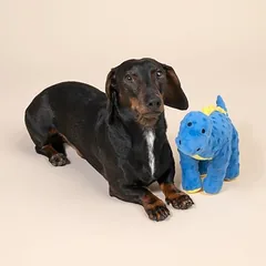 TIAKI žaislas šunims Dino, apie L 38 x B 10 x H 20 cm — 3 nuotrauka