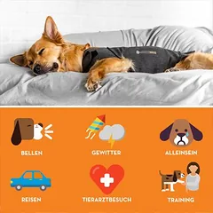 ThunderShirt® nuraminanti liemenė šunims, pilka, Labai dideliems > 45 kg — 4 nuotrauka