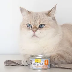 GimCat ShinyCat filė drebučiuose, drėgnas maistas katėms 6 x 70 g — 4 nuotrauka