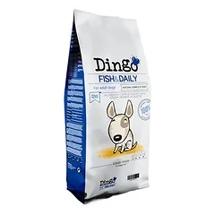  Dingo Fisch & Daily 