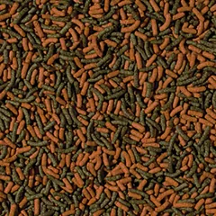 Tropical Cichlid Red&Green Large sticks (sveriamas)