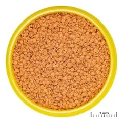 ProNovo Betta Grano S pašaras Betta žuvims (gaideliams) 100 ml — 2 nuotrauka
