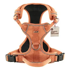 Freudentier petnešos šunims, kvėpuojančios, paminkštintos, nuo traukimo - Sunset Orange