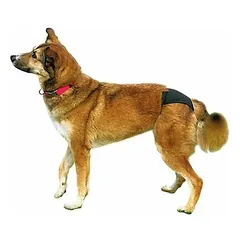 Trixie apsauginės kelnaitės kalytėms XL (liemuo 60-70 cm) — 3 nuotrauka