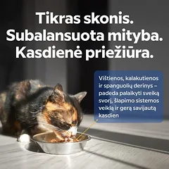 Suaugusių, sterilizuotų kačių šlapias pašaras su vištiena ir kalakutiena, 300 g | 1 — 4 nuotrauka