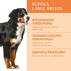OPTIMEAL™ sausas pašaras didelių veislių šuniukams su kalakutiena, 12 kg — 2 nuotrauka