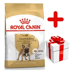 ROYAL CANIN French Bulldog Adult 9kg + STAIGMENA ŠUNIUI