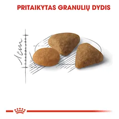 ROYAL CANIN FHN exigent savour sausas maistas išrankioms suaugusioms katėms 4 kg — 3 nuotrauka