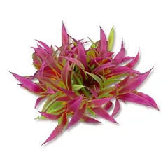 Dirbtinis augalas 10cm
