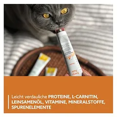GimCat Energy Paste — 2 nuotrauka