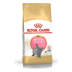 Royal Canin British Shorthair Kitten sausas maistas kačiukams