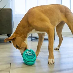 KONG Licks Rewards žaislas šunims, Dideliems 26–45 kg — 5 nuotrauka