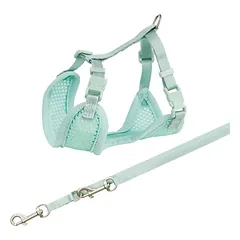 TRIXIE Junior Šuniuko petnešos su pavadėliu 26–34 cm/10 mm, 2.00 m, mėtų spalvos