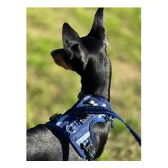 OURDOGSLIFE magnetinės šunų petnešos + 2 m pavadėlis (komplektas), S, mėlyna — 3 nuotrauka