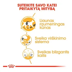 ROYAL CANIN Siamese sausas pašaras katėms, FBN 10kg — 3 nuotrauka
