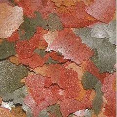 Dajana Colour flakes (sveriamas)