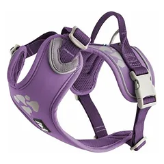 Hurtta Weekend Warrior Geschirr violett
