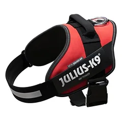JULIUS-K9 IDC® Power petnešos šunims, raudonos, Vidutiniams 11–25 kg — 5 nuotrauka