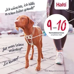 Halti Harness No Pull treniruočių petnešos, oranžinė: dydis XS, pvz., čihuahua — 5 nuotrauka