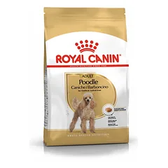 ROYAL CANIN Poodle Adult 1,5kg + STAIGMENA ŠUNIUI
