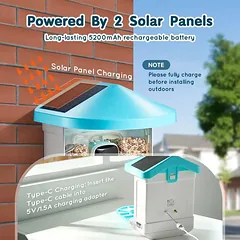 Išmanioji saulės energija varoma paukščių lesyklėlė su 2K HD kamera ir AI — 5 nuotrauka