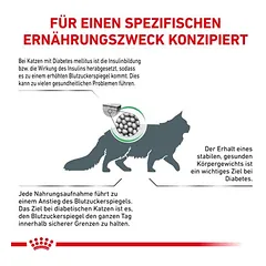 Royal Canin Veterinary Feline Diabetic sausas maistas katėms, 3 - 4,9 kg — 2 nuotrauka