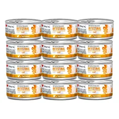 Disugual Šlapias kačių maistas Veterinarinis INTESTINAL Turkija (suaugusiems) 12x85 g