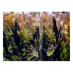 *Opti Bent 70 akvariumas stačiakampis, juodas, 39x39x45 cm, 68 l — 4 nuotrauka