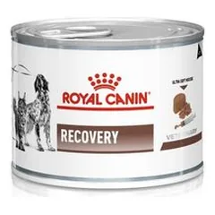 Royal Canin Veterinary Recovery paštetas katėms ir šunims