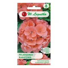 Gama F1 pelargonija - lašišos rožinė