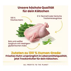 Almo Nature HFC Kitten su višta, sausas maistas kačiukams, < 1,4 kg — 3 nuotrauka