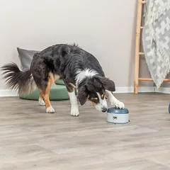 Trixie Dog Activity Buzzer Strategiespiel