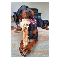 Stručio kaulas šunims - Paddock Farm Ostrich Dino Bone — 3 nuotrauka