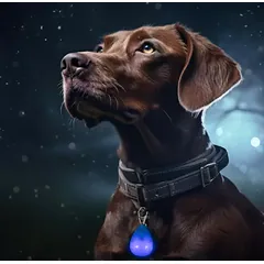 LED antkaklis žalias L 70cm — 3 nuotrauka