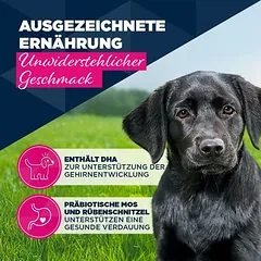 Eukanuba Puppy su kalakutiena ir morkomis, drėgnas maistas šuniukams — 2 nuotrauka