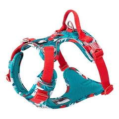 TrueLove Geschirr Country Camouflage blau