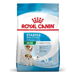 Royal Canin Mini Starter sausas maistas mažų veislių šunims 8 kg
