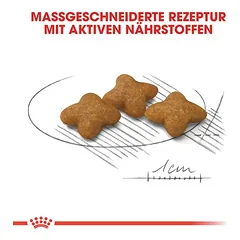 Royal Canin X-Small Sterilised sausas maistas šunims — 5 nuotrauka