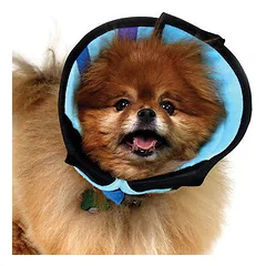 KVP Calmer  Small 20-28 cm — 1 nuotrauka