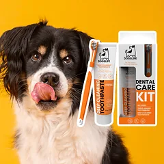 DOGSLIFE dantų priežiūros rinkinys šunims — 4 nuotrauka