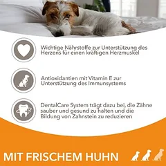 IAMS Advanced Nutrition Senior Small & Medium Dog 8+ su vištiena, sausas maistas šunims, 5 - 9,9 kg — 5 nuotrauka