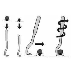Flamingo Tick remover — 4 nuotrauka