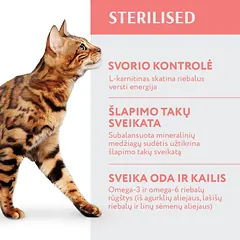 OPTIMEAL™ sausas pašaras sterilizuotoms katėms su jautiena ir sorgomis, 10 kg — 2 nuotrauka