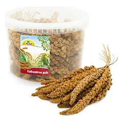 JR Farm kibiras burbuolinės soros, geltonos, pašaras paukščiams, > 250 g — 2 nuotrauka
