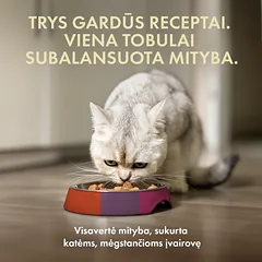 Visų veislių suaugusių kačių šlapių pašarų rinkinys, 12x85 g — 2 nuotrauka