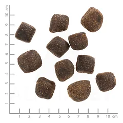 WOLFSBLUT Green Valley Squashies skanėstai šunims su ėriena ir lašiša, 300 g — 3 nuotrauka