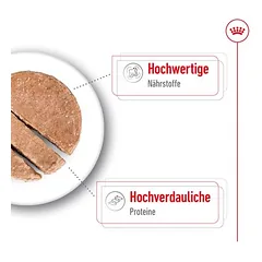 Royal Canin Maxi Adult Mousse drėgnas maistas šunims — 4 nuotrauka