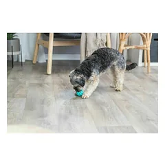 Trixie Denta Fun mėtų kamuoliukas 5 cm — 3 nuotrauka