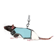 Trixie Soft Harness With Leash pakinktai žiurkėms su pavadėliu, reguliuojami, 12–18 cm, 1,20 m